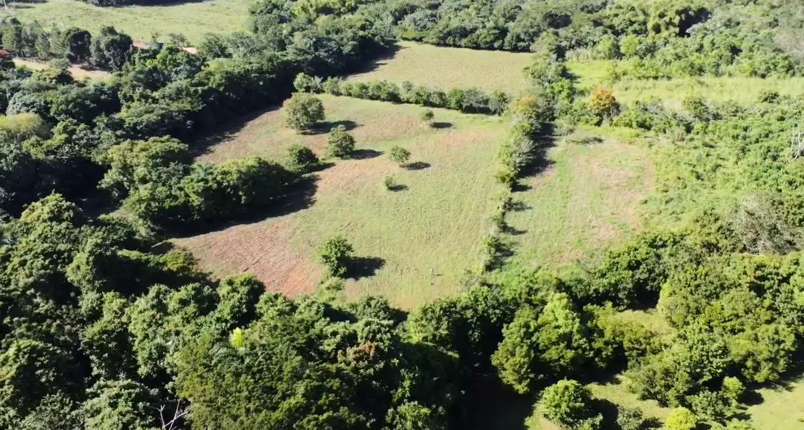 Finca de 500 tareas con vocación Ganadera y Agrícola en Sabana Grande  Foto 7265954-4.jpg
