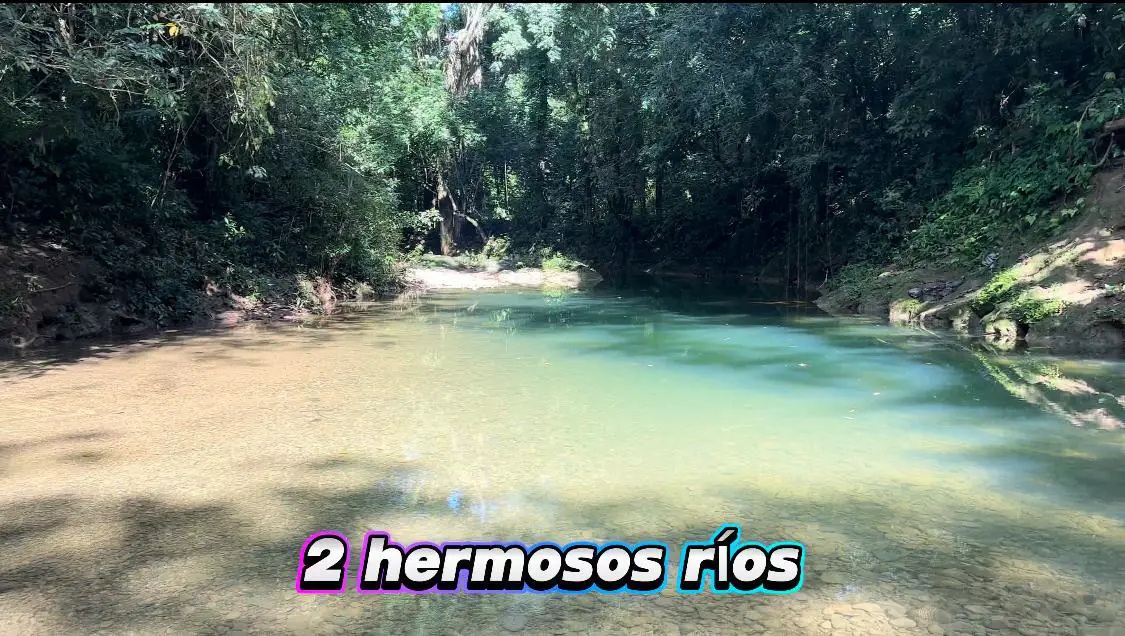 Finca de 500 tareas con vocación Ganadera y Agrícola en Sabana Grande  Foto 7265954-5.jpg