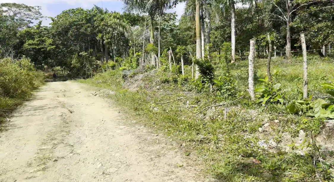 Finca de 800 tareas Ganadera y Agrícola en Sabana Grande de Boyá    Foto 7265955-10.jpg