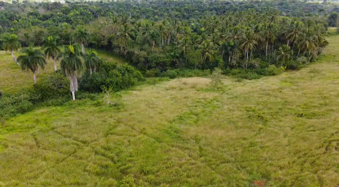 Finca de 800 tareas Ganadera y Agrícola en Sabana Grande de Boyá    Foto 7265955-2.jpg