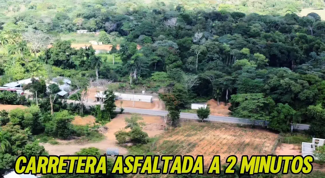 Venta de finquita desde 5 tareas en el Cacique de Monte Plata  Foto 7265956-2.jpg