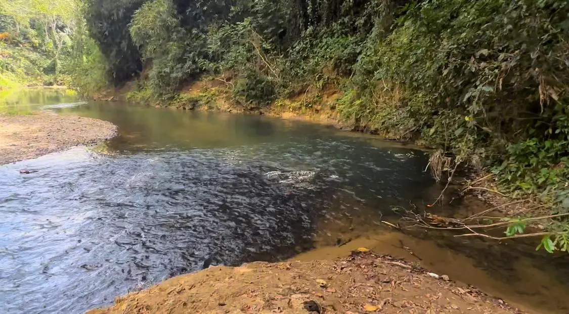 Venta de finquita desde 5 tareas en el Cacique de Monte Plata  Foto 7265956-7.jpg