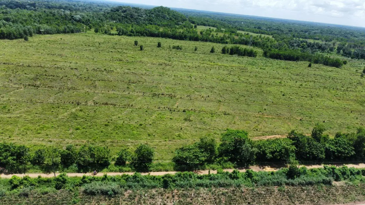 Fincas desde  20 tareas en Adelante en Monte Plata   A 1 km de la carr Foto 7265957-1.jpg
