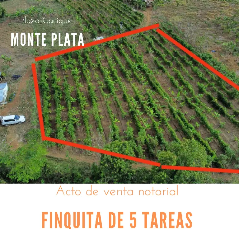 Finca de 5 tareas Sembradas de plátanos chinola Yuca en Monte Plata    Foto 7265958-1.jpg