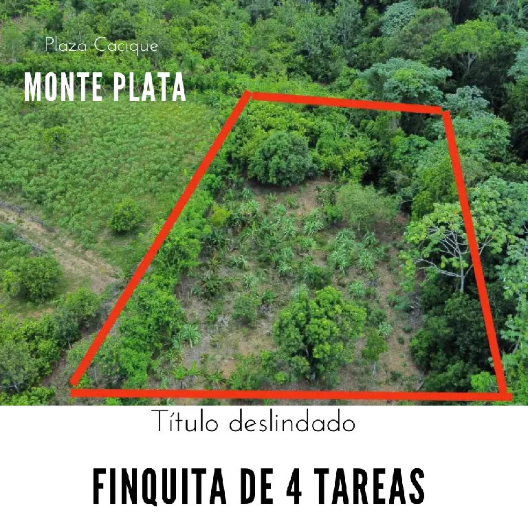 Finquita de 4 tareas Agrícolas ideal para su casa campestre en Monte p Foto 7265964-1.jpg
