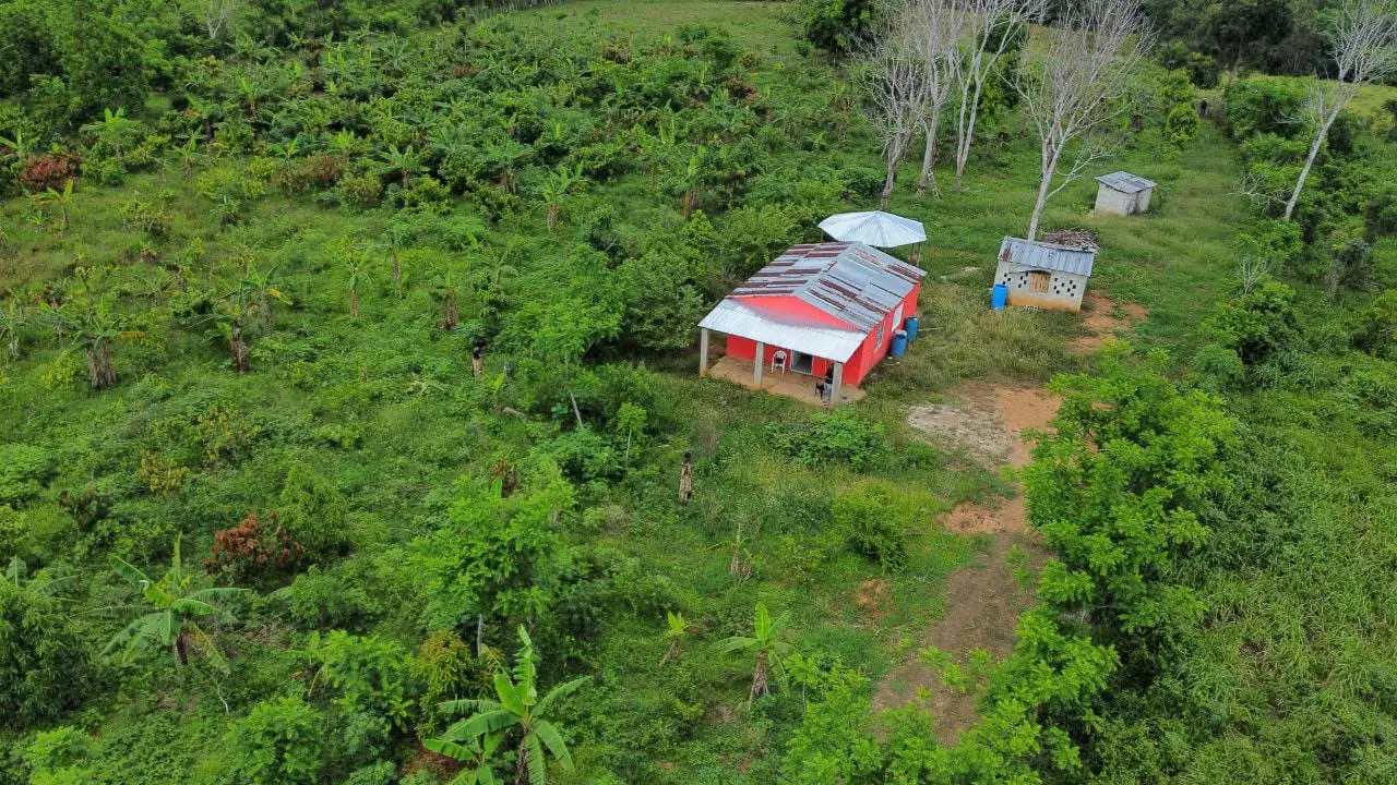 Finca de 50 tareas Ganadera y Agrícola en Don Juan de  Mente Plata   Foto 7265965-2.jpg