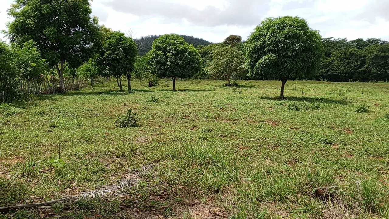 Finca de 50 tareas Ganadera y Agrícola en Don Juan de  Mente Plata   Foto 7265965-6.jpg