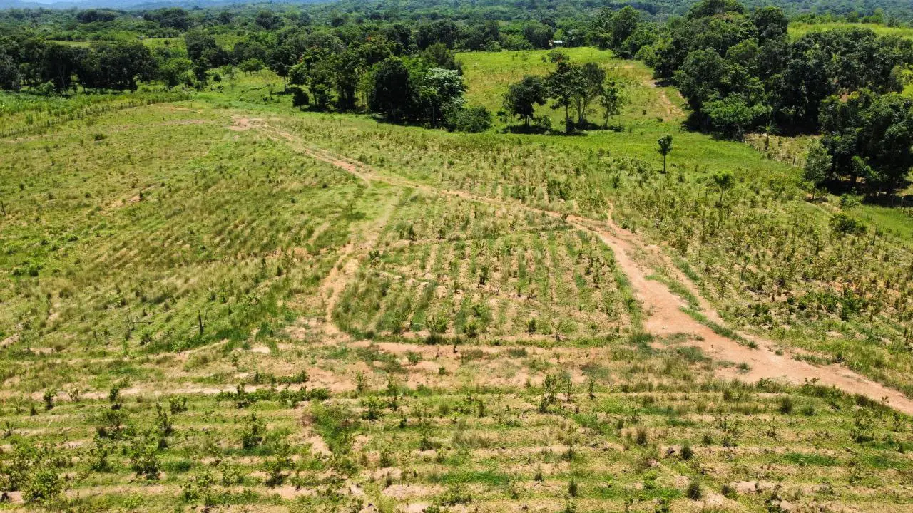 Finca de 60 tareas con vocación Agrícola y eco-turísticos en Don Juan  Foto 7265966-2.jpg