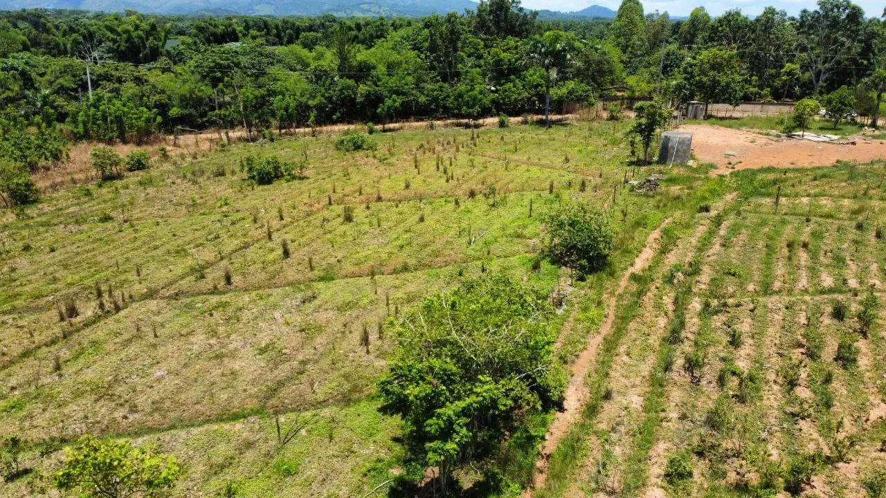 Finca de 60 tareas con vocación Agrícola y eco-turísticos en Don Juan  Foto 7265966-3.jpg