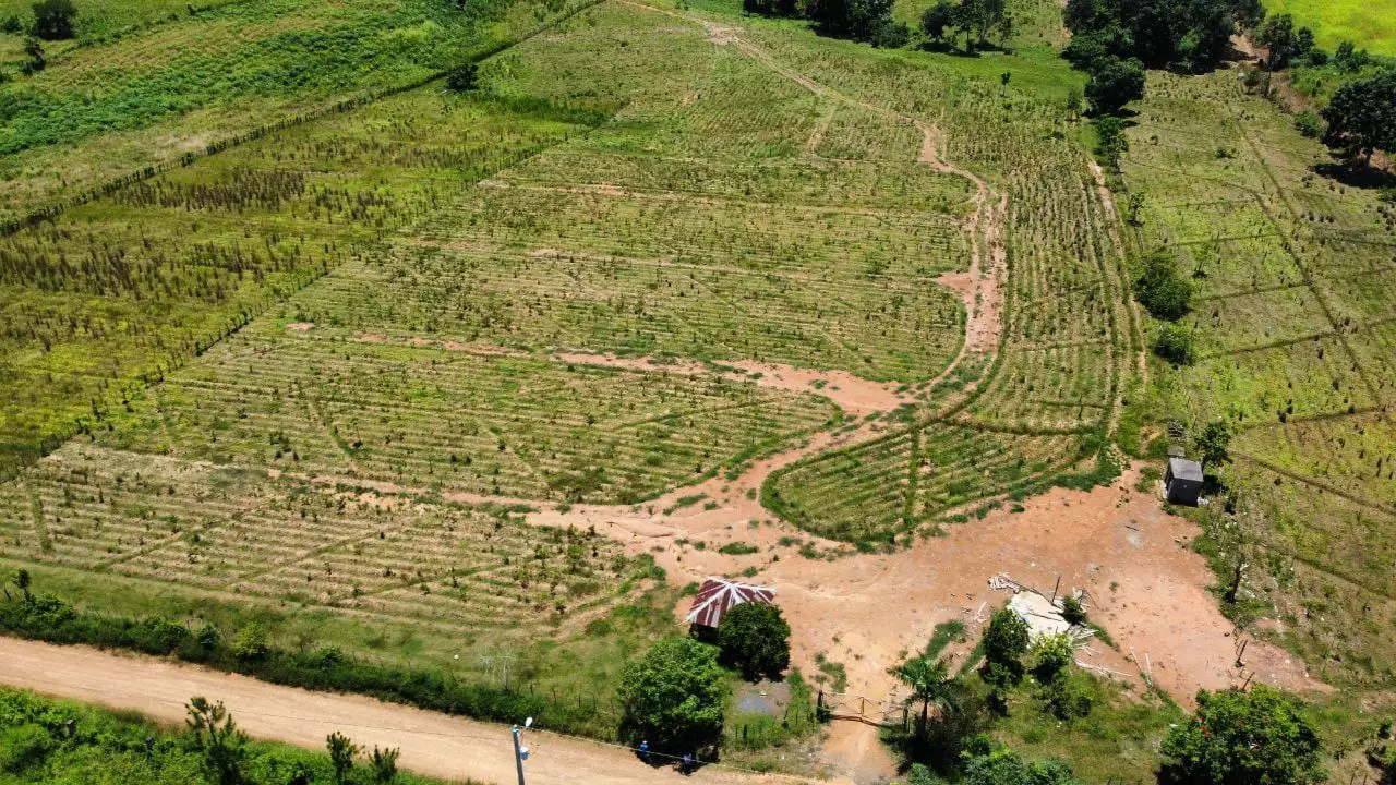 Finca de 60 tareas con vocación Agrícola y eco-turísticos en Don Juan  Foto 7265966-4.jpg