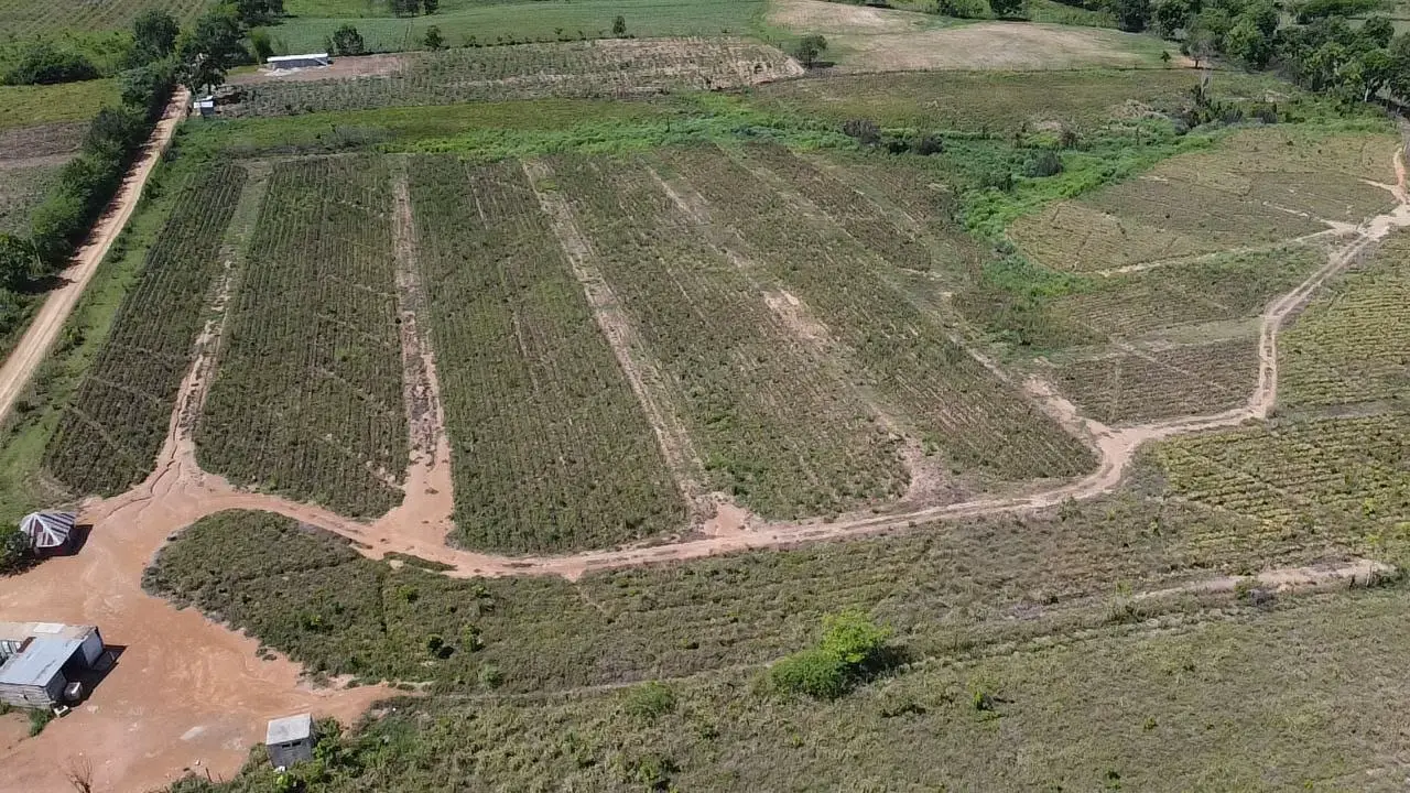 Finca de 60 tareas con vocación Agrícola y eco-turísticos en Don Juan  Foto 7265966-5.jpg