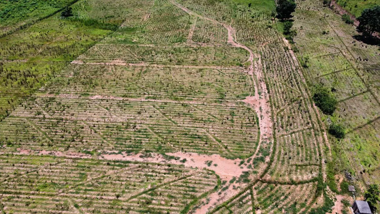 Finca de 60 tareas con vocación Agrícola y eco-turísticos en Don Juan  Foto 7265966-6.jpg