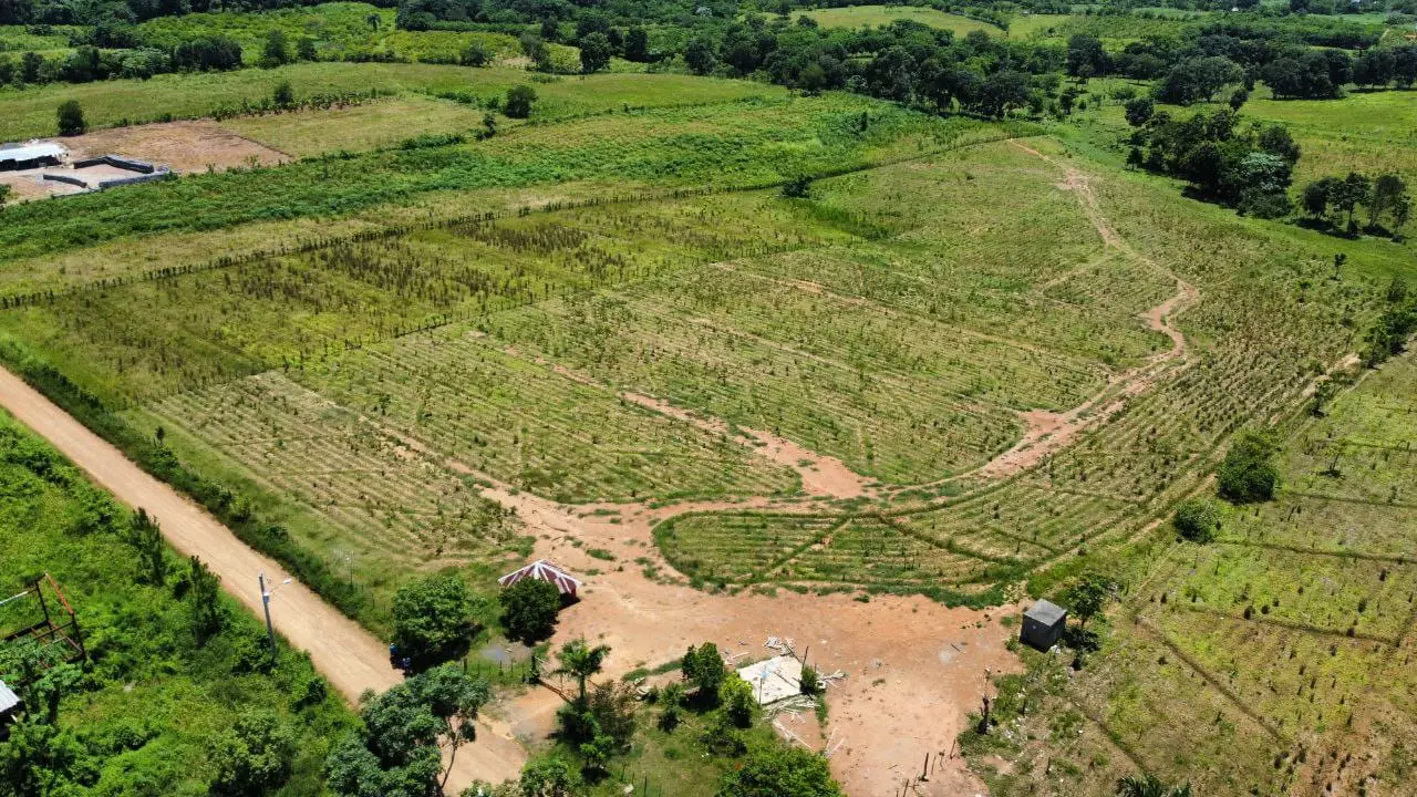 Finca de 60 tareas con vocación Agrícola y eco-turísticos en Don Juan  Foto 7265966-7.jpg