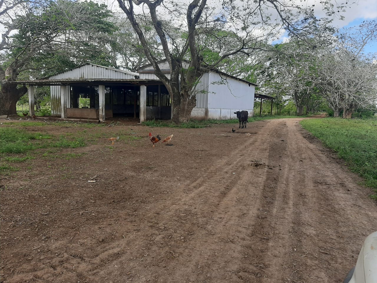 Finca de 4996 tareas Ganadera con vocación agrícola en Bayaguana/ Guer Foto 7265967-2.jpg