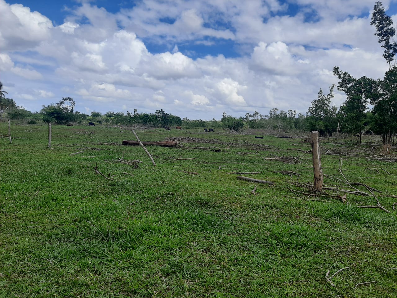 Finca de 4996 tareas Ganadera con vocación agrícola en Bayaguana/ Guer Foto 7265967-3.jpg