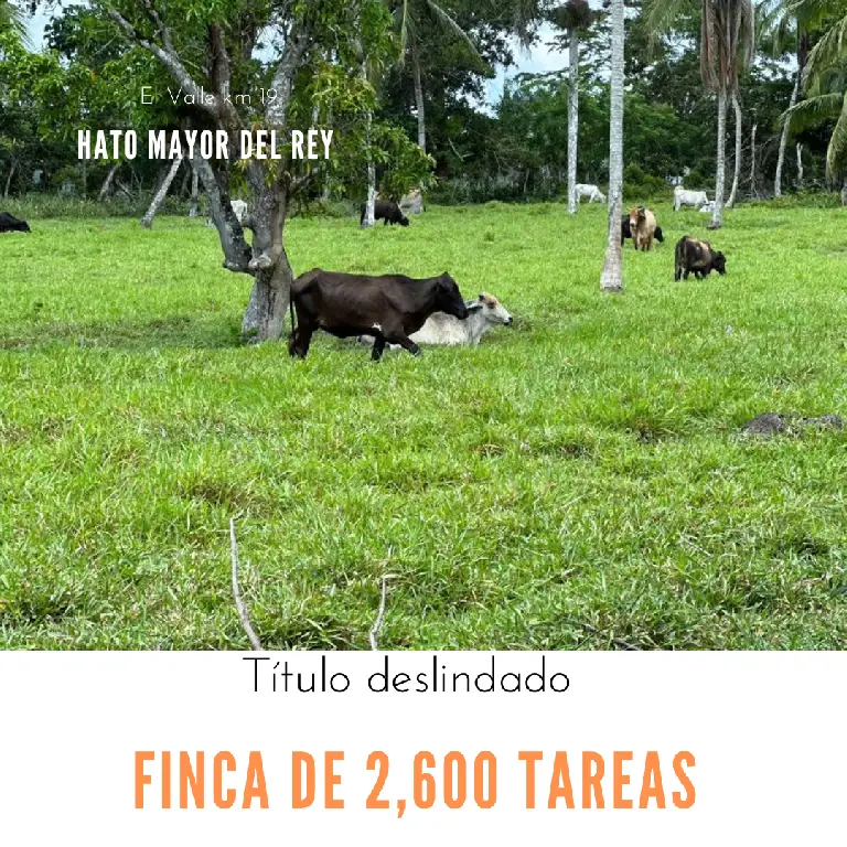 Finca de 2600 tareas Ganadera en Hato Mayor del Rey   Foto 7265968-1.jpg