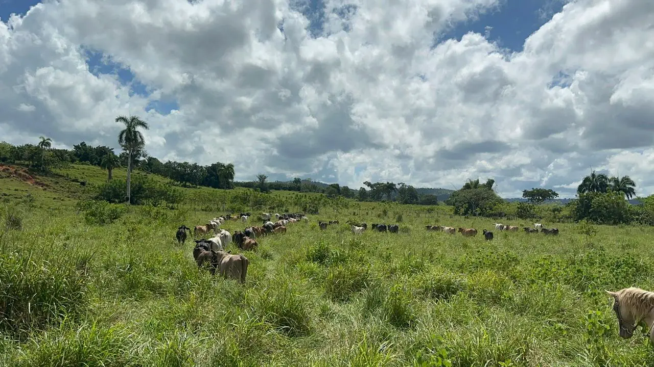 Finca de 2600 tareas Ganadera en Hato Mayor del Rey   Foto 7265968-9.jpg
