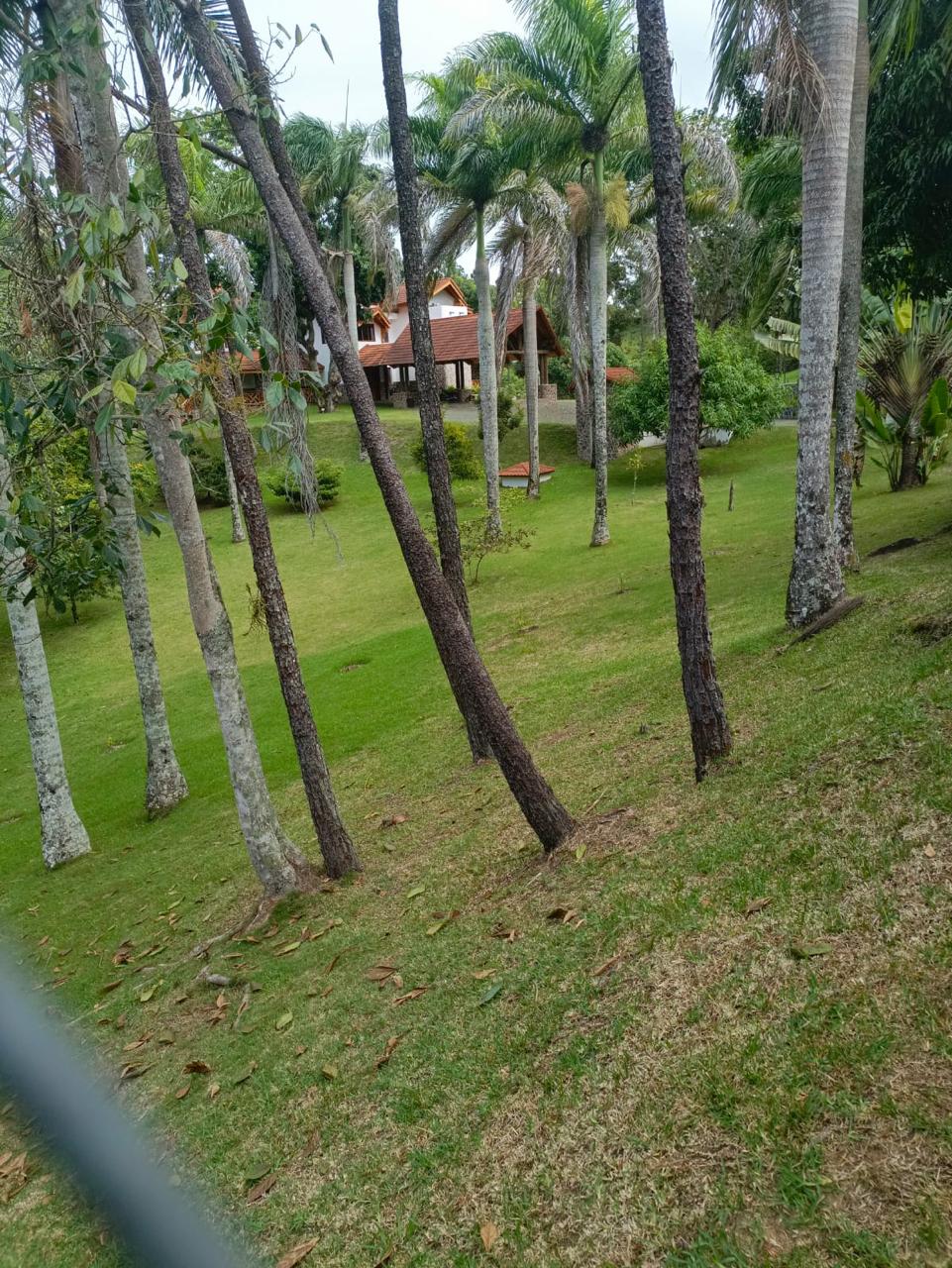 Magnifica cabaña con 8000 Mt2 de terreno en Jarabacoa   Foto 7266036-9.jpg