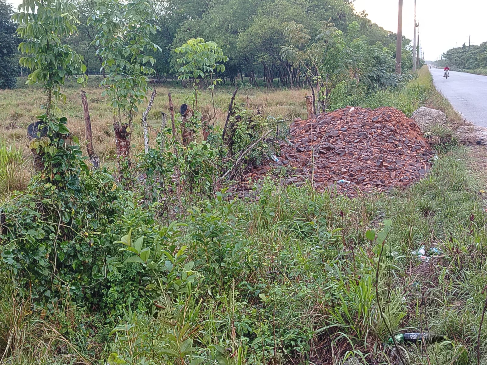 Terreno de 27000 Mts2 abordé de carretera asfaltada en San Antonio de  Foto 7266119-3.jpg