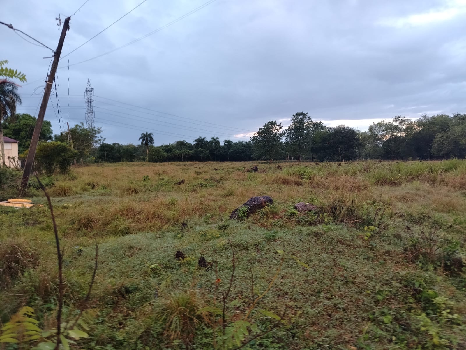 Terreno de 27000 Mts2 abordé de carretera asfaltada en San Antonio de  Foto 7266119-6.jpg