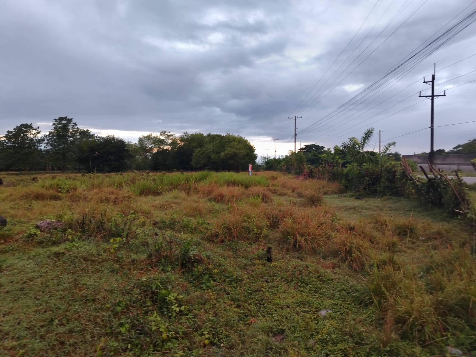 Terreno de 27000 Mts2 abordé de carretera asfaltada en San Antonio de  Foto 7266119-7.jpg