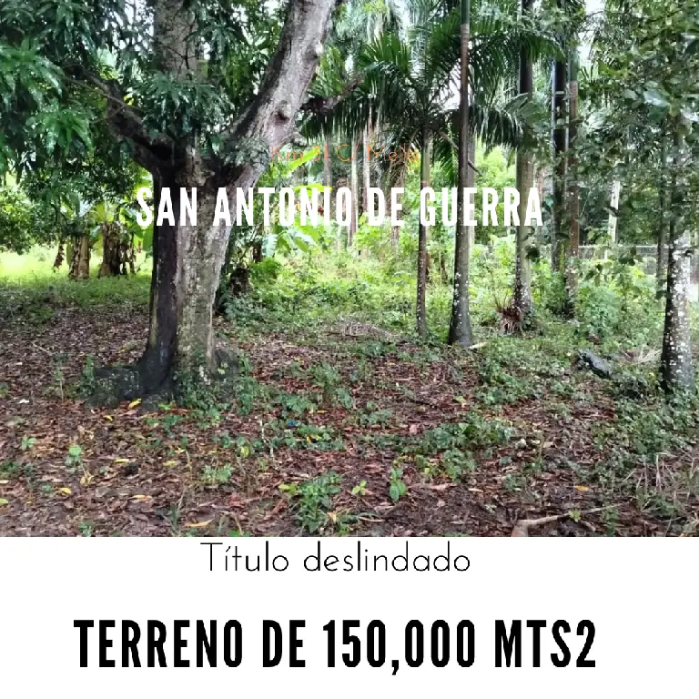 Terreno de 150000 Mts2 ideal para la academia de Béisbol cualquier tip Foto 7266120-1.jpg