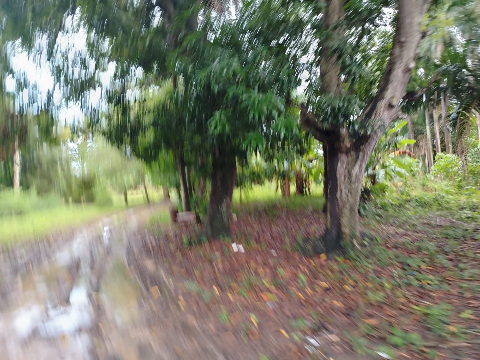Terreno de 150000 Mts2 ideal para la academia de Béisbol cualquier tip Foto 7266120-7.jpg