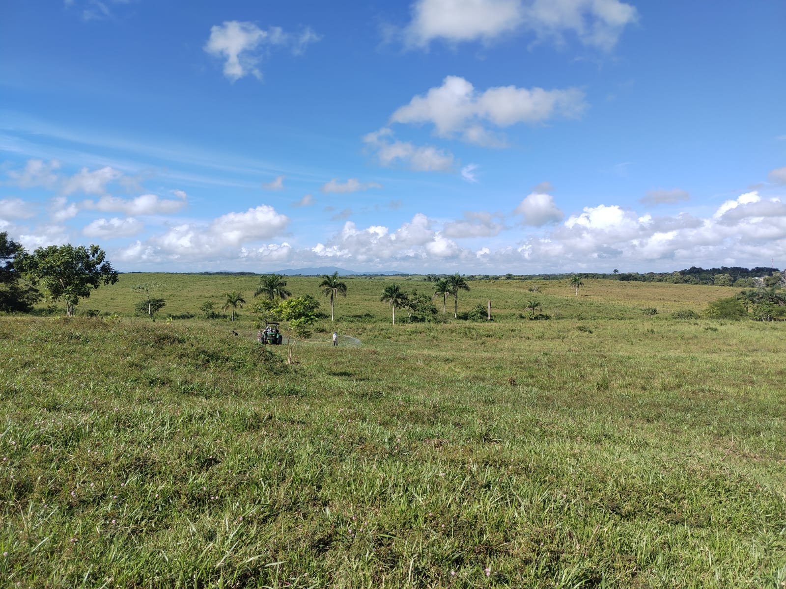 Finca de 24000 tareas con vocación Ganadera y Agrícola acta para cualq Foto 7266123-2.jpg