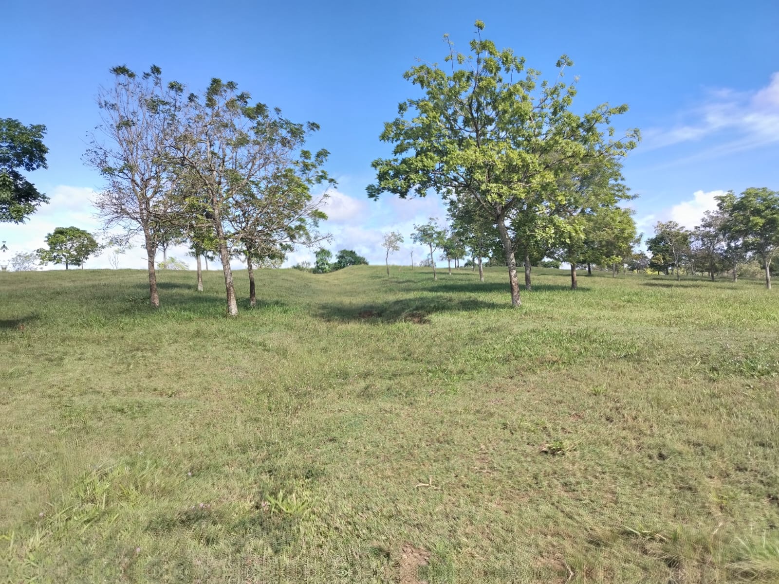 Finca de 24000 tareas con vocación Ganadera y Agrícola acta para cualq Foto 7266123-5.jpg