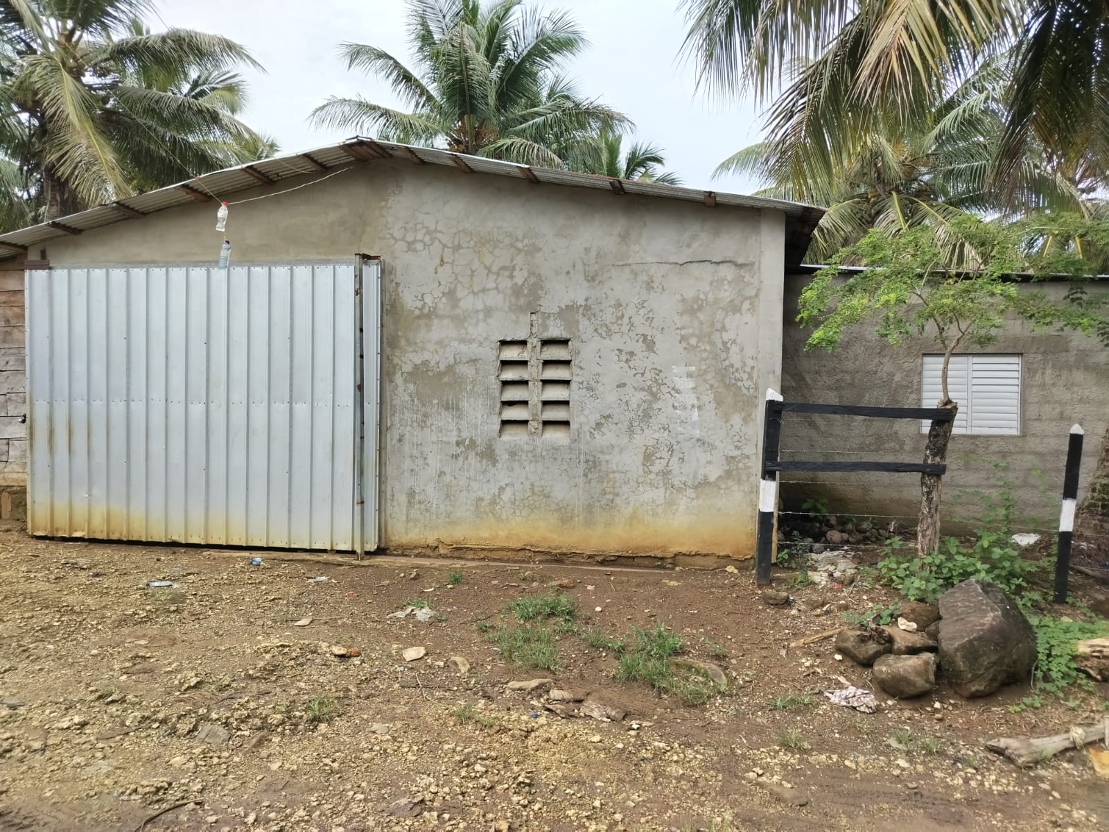 Finca de 5000 tareas totalmente sembradas de Cocó en Nagua   Foto 7266124-8.jpg