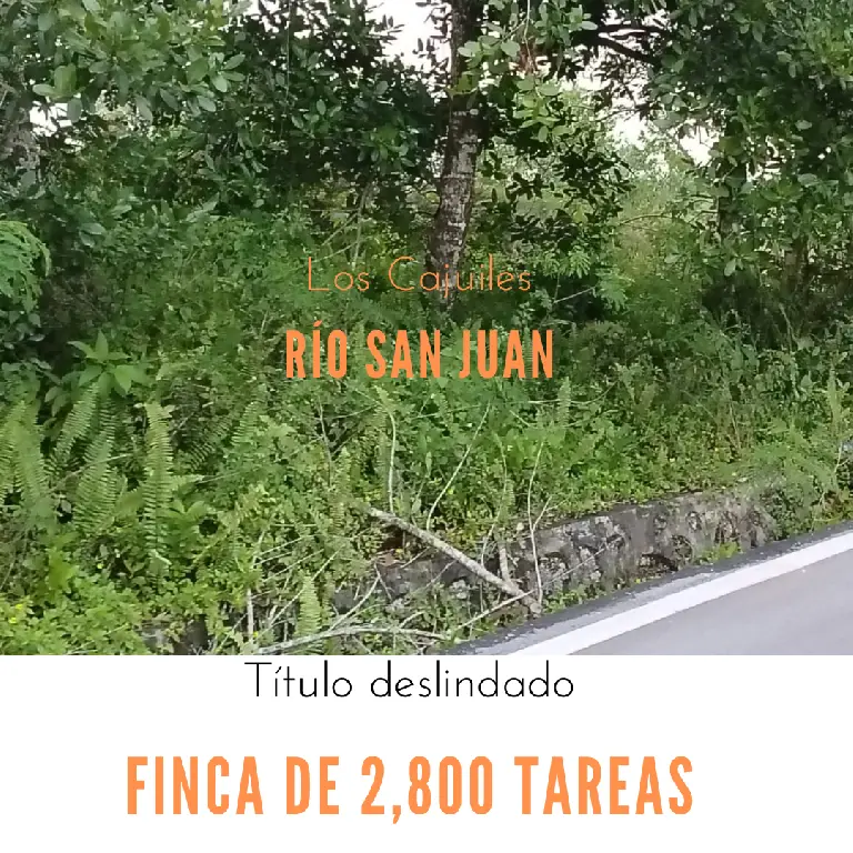 Finca de 2800 tareas con vocación Agrícola y Ganadera en Río San Juan  Foto 7266128-1.jpg