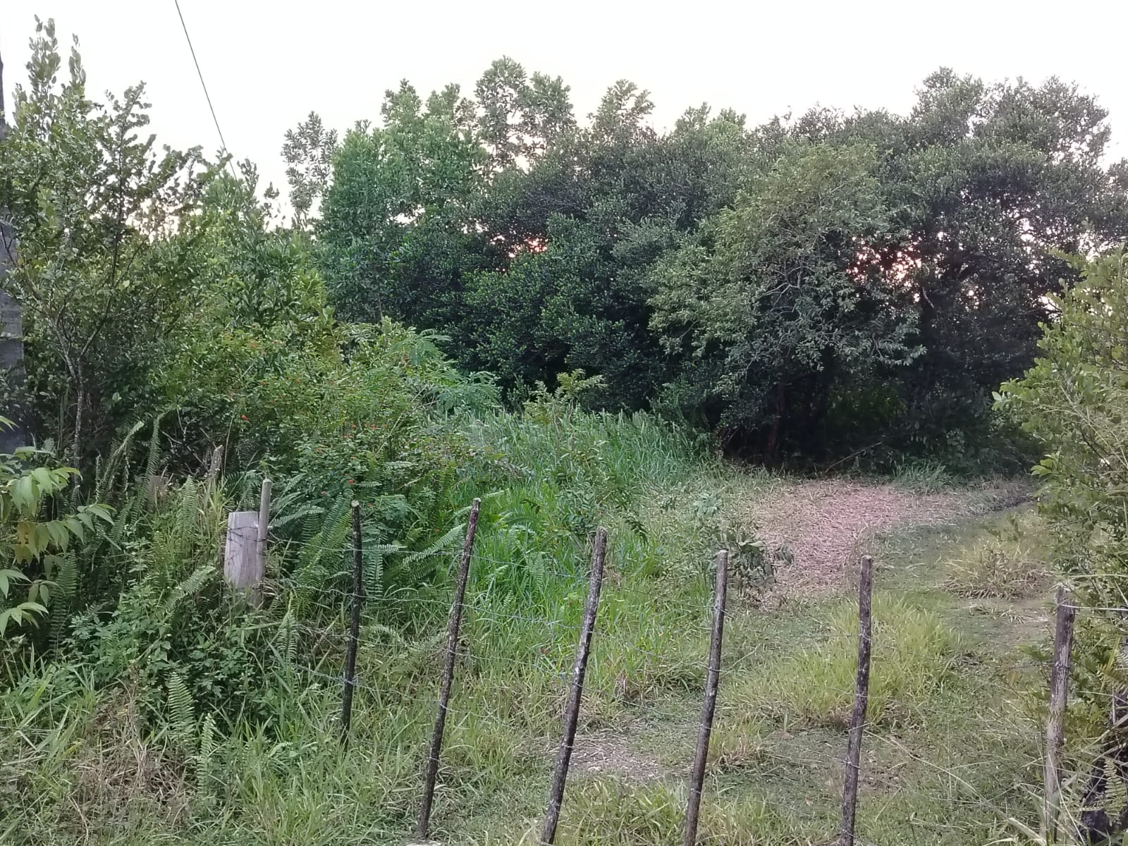 Finca de 2800 tareas con vocación Agrícola y Ganadera en Río San Juan  Foto 7266128-4.jpg