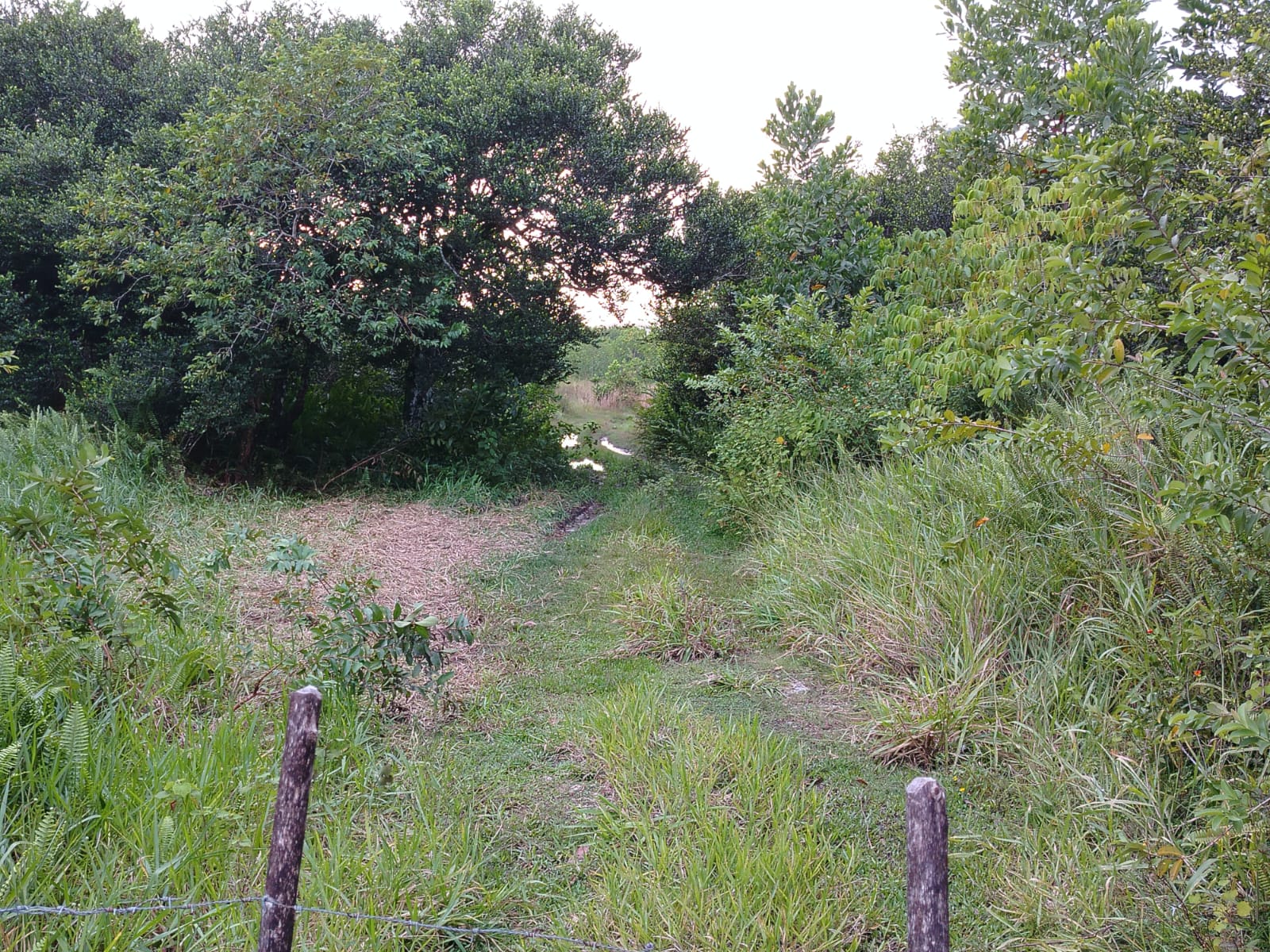 Finca de 2800 tareas con vocación Agrícola y Ganadera en Río San Juan  Foto 7266128-6.jpg