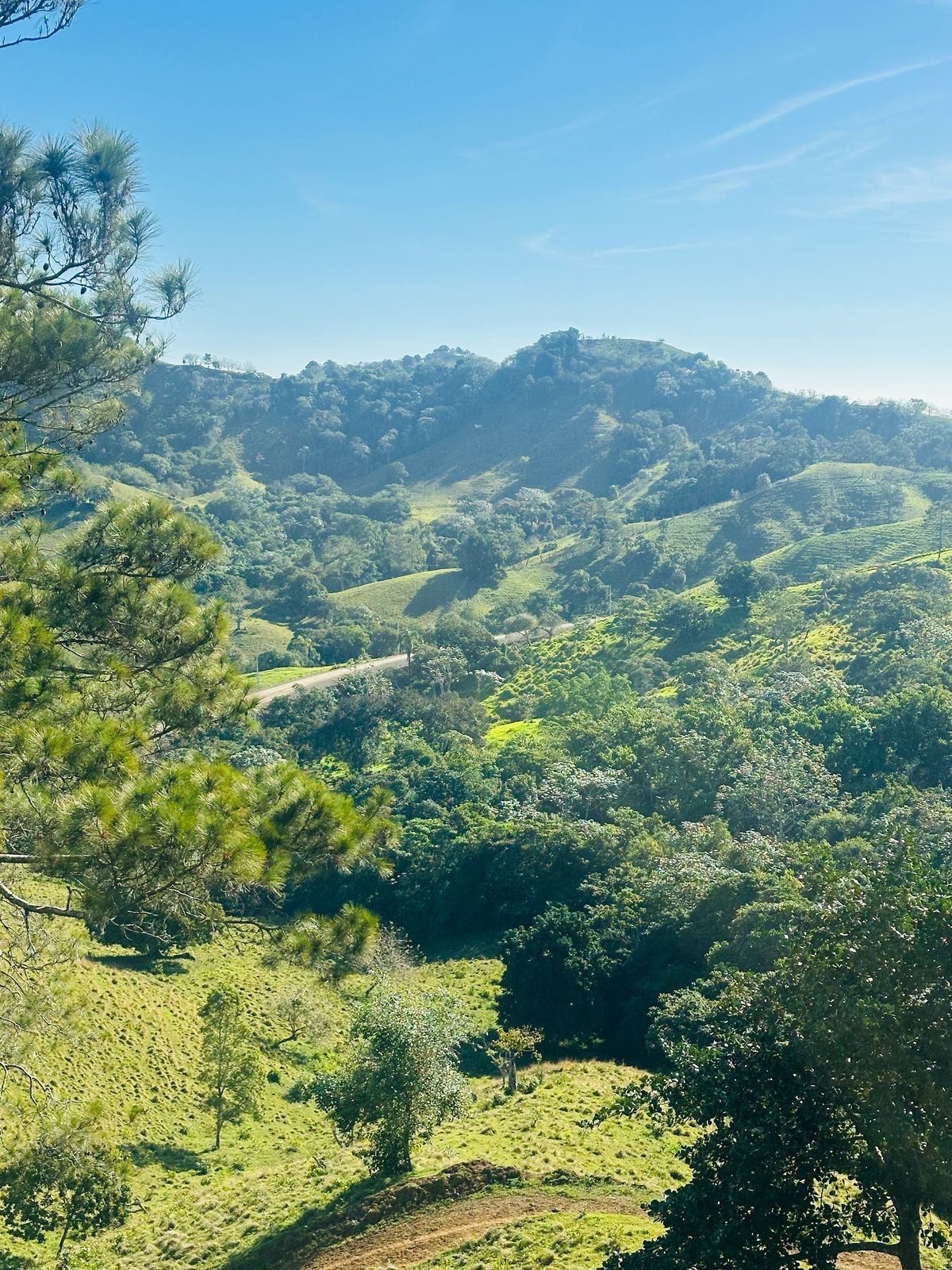 Finca con Fácil Acceso en Jarabacoa RD Foto 7266825-11.jpg