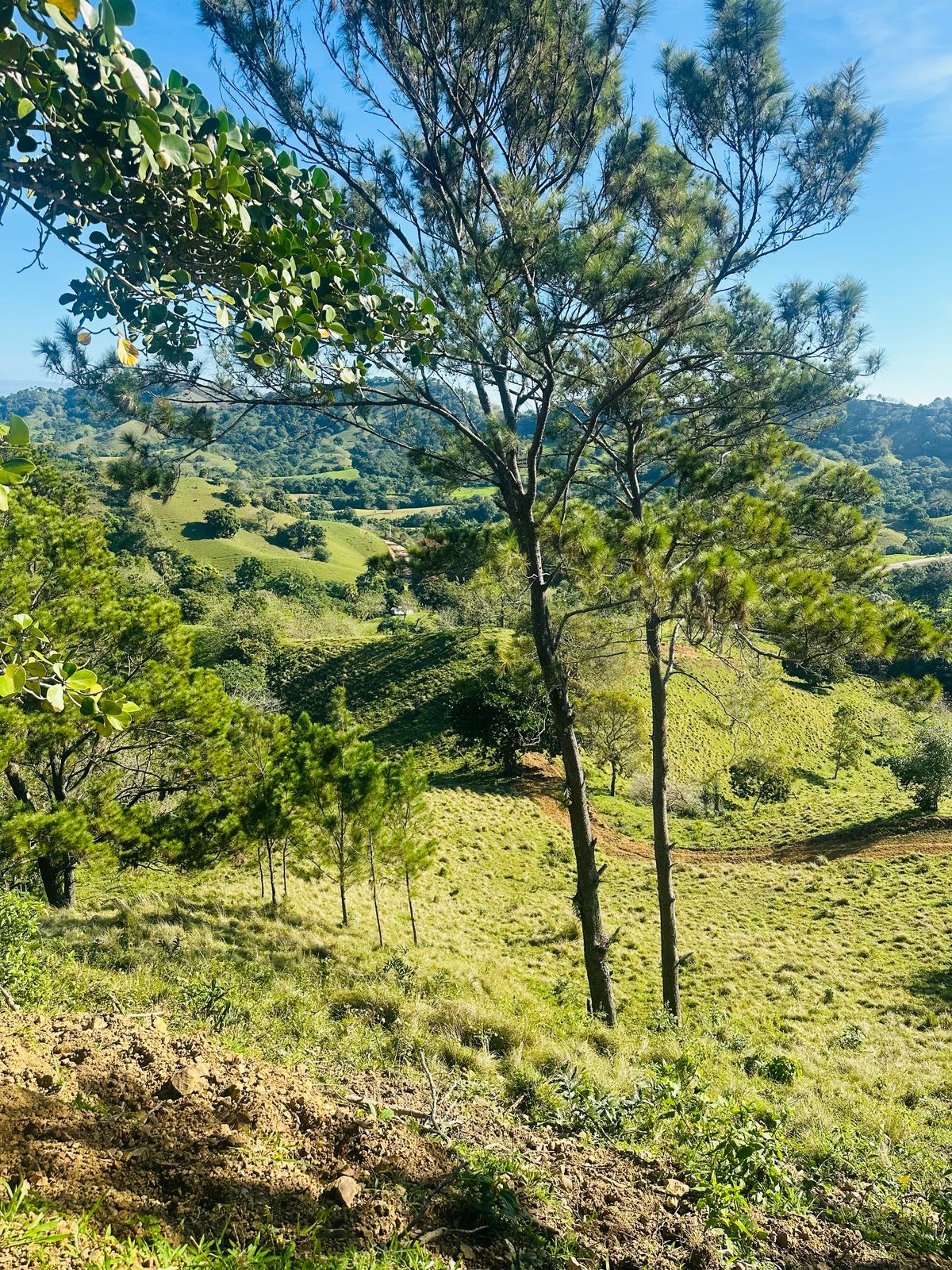 Finca con Fácil Acceso en Jarabacoa RD Foto 7266825-2.jpg