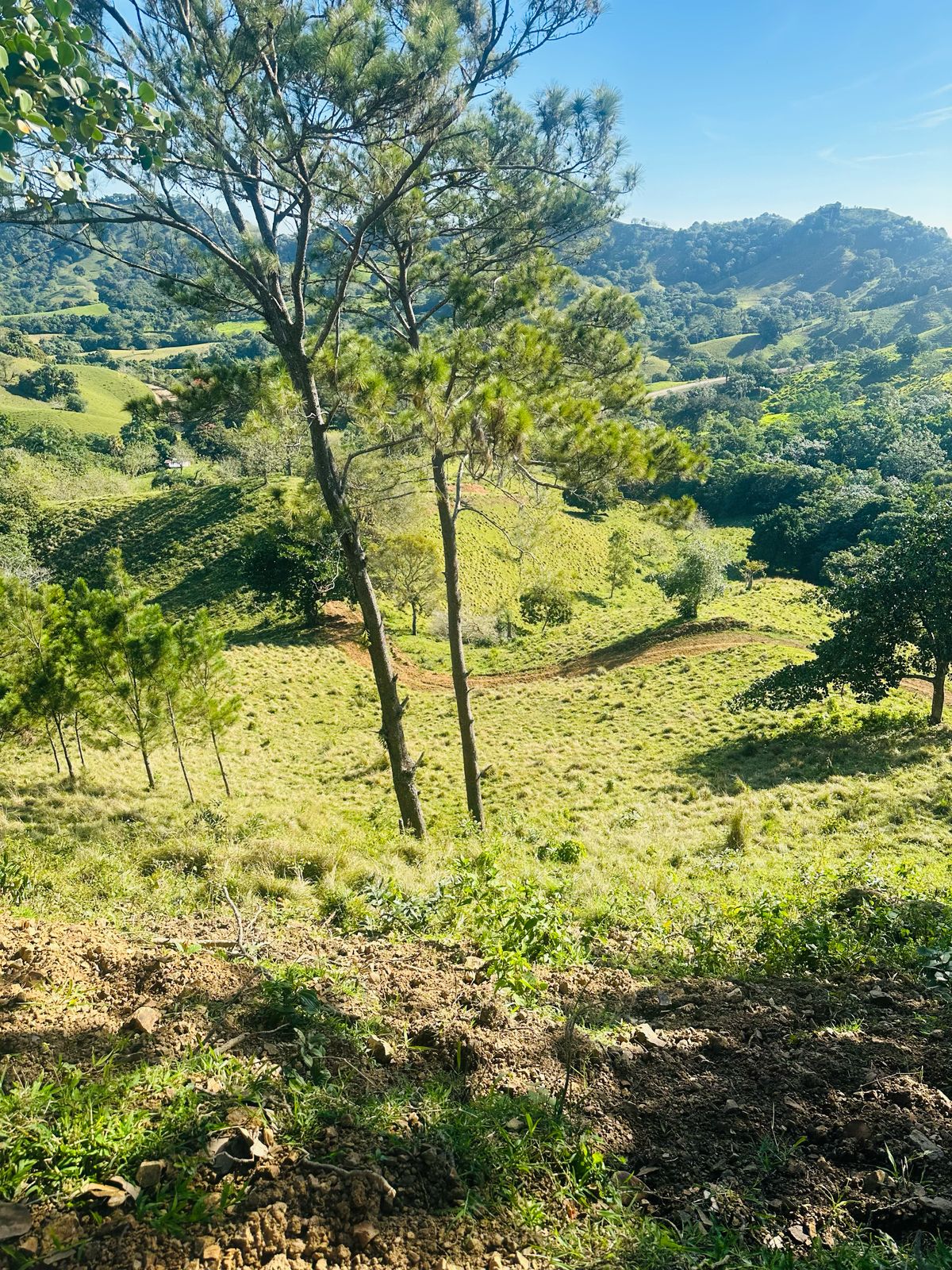 Finca con Fácil Acceso en Jarabacoa RD Foto 7266825-3.jpg
