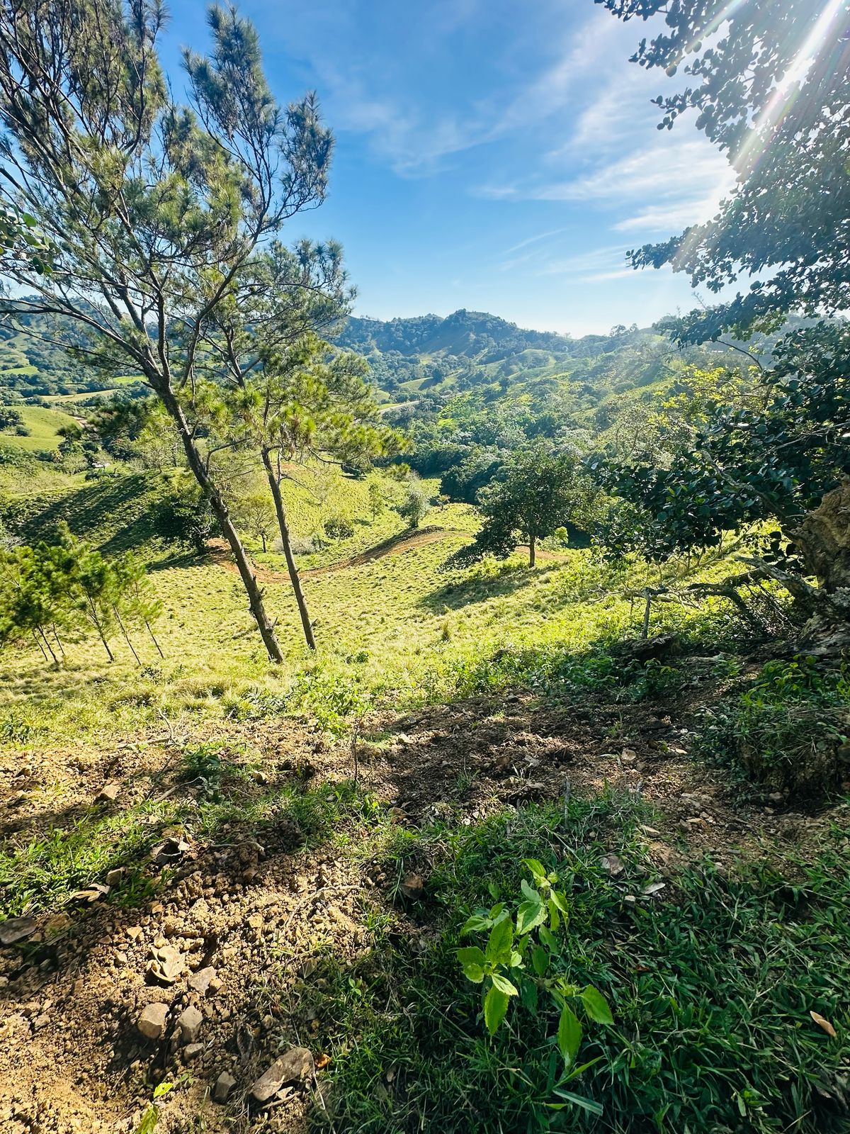 Finca con Fácil Acceso en Jarabacoa RD Foto 7266825-5.jpg
