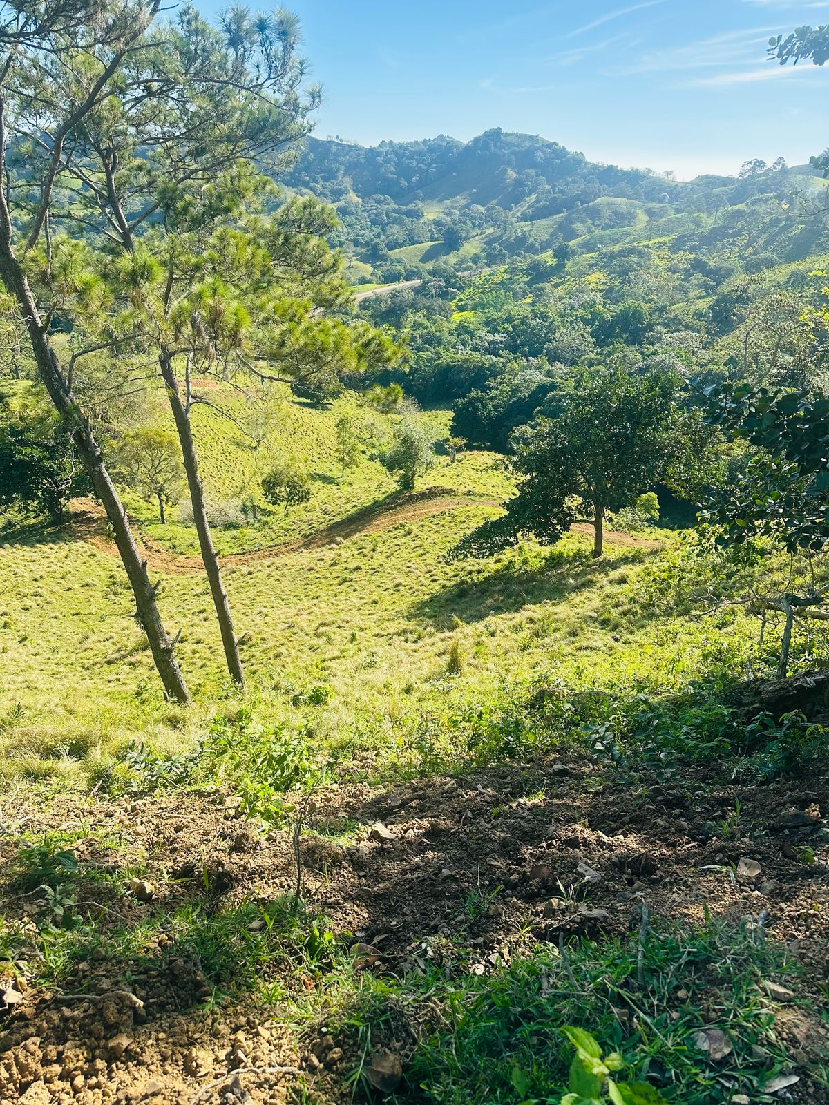 Finca con Fácil Acceso en Jarabacoa RD Foto 7266825-6.jpg