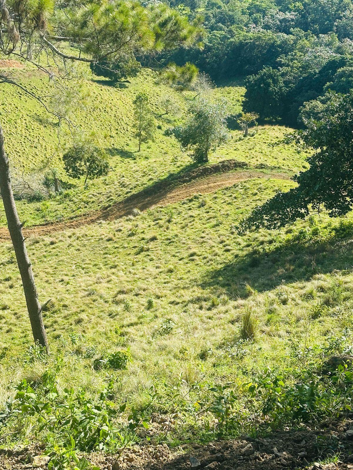 Finca con Fácil Acceso en Jarabacoa RD Foto 7266825-7.jpg