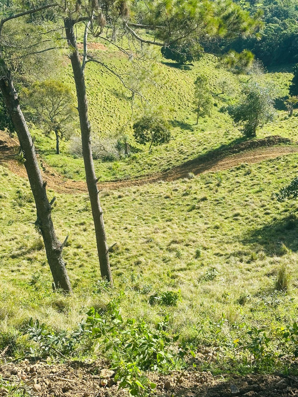 Finca con Fácil Acceso en Jarabacoa RD Foto 7266825-8.jpg