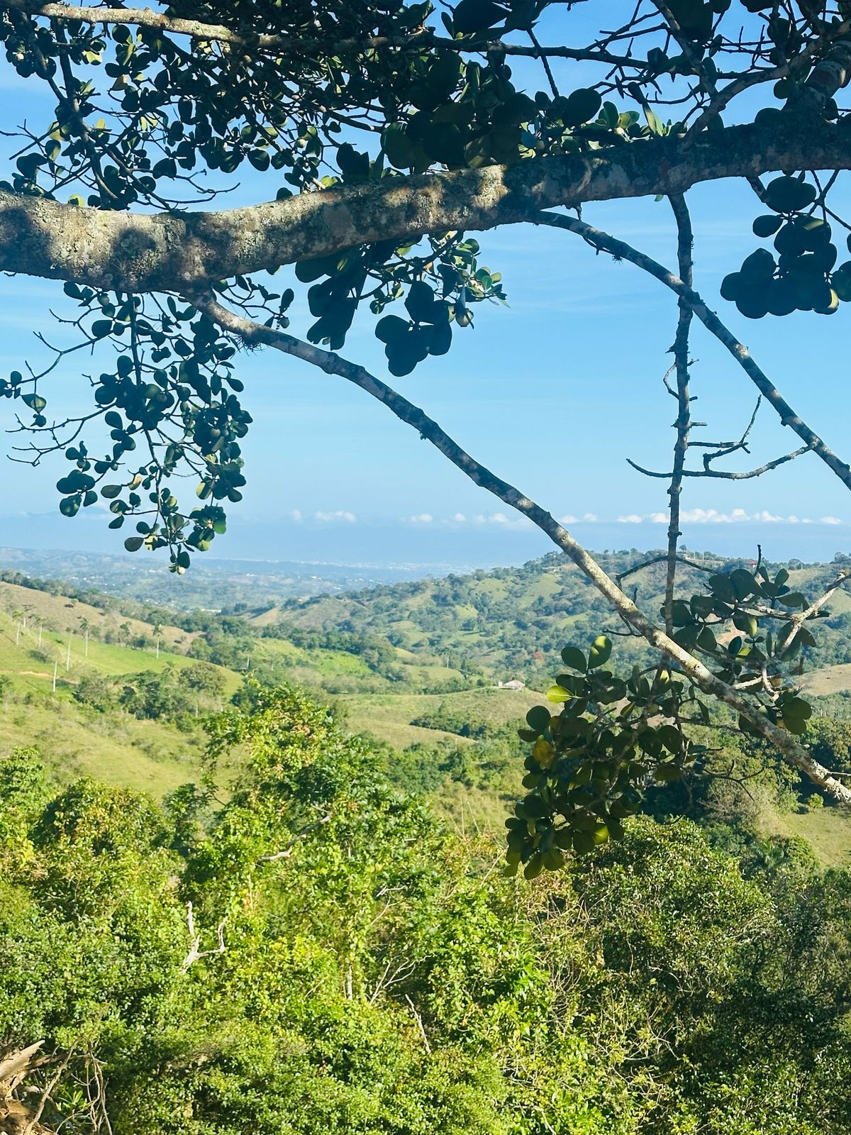 Finca con Fácil Acceso en Jarabacoa RD Foto 7266825-9.jpg