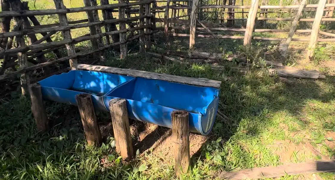 Vendo-Rentó finca totalmente Ganadera de 200 o 429 tareas en Copey de  Foto 7267051-13.jpg