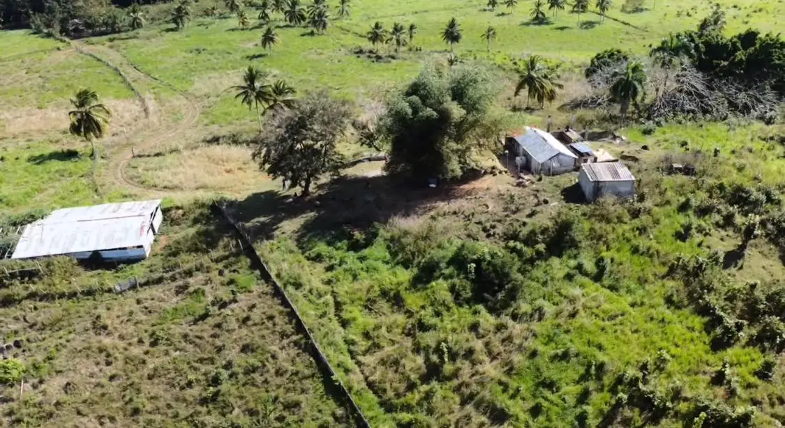 Vendo-Rentó finca totalmente Ganadera de 200 o 429 tareas en Copey de  Foto 7267051-3.jpg