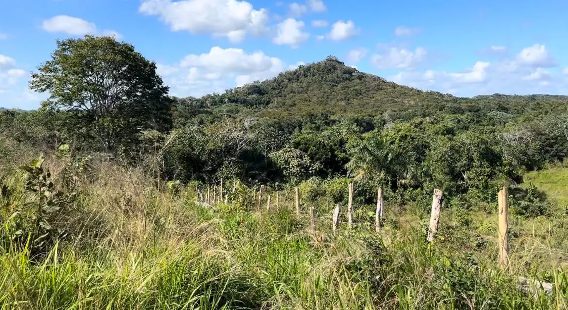 Vendo-Rentó finca totalmente Ganadera de 200 o 429 tareas en Copey de  Foto 7267051-7.jpg