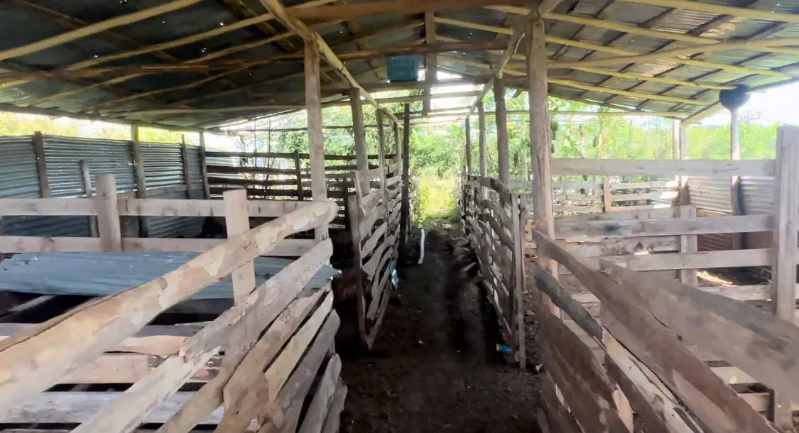 Vendo-Rentó finca totalmente Ganadera de 200 o 429 tareas en Copey de  Foto 7267051-8.jpg