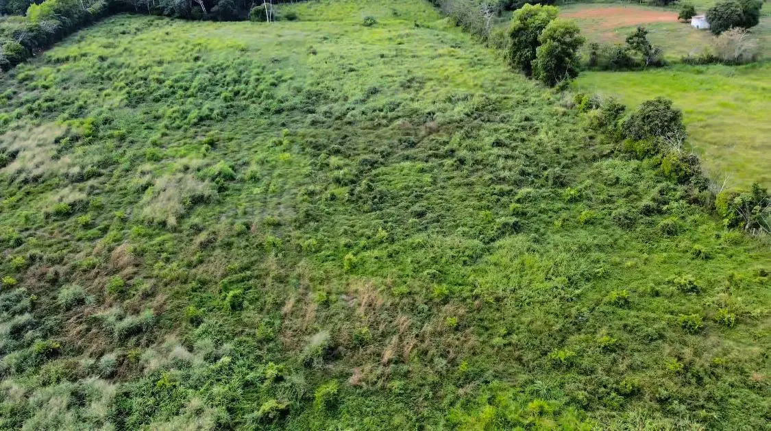 Finca de 47 tareas con vocación Ganadera y Agrícola en Don Juan de Mon Foto 7267052-3.jpg