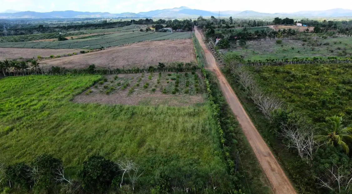 Finca de 47 tareas con vocación Ganadera y Agrícola en Don Juan de Mon Foto 7267052-4.jpg