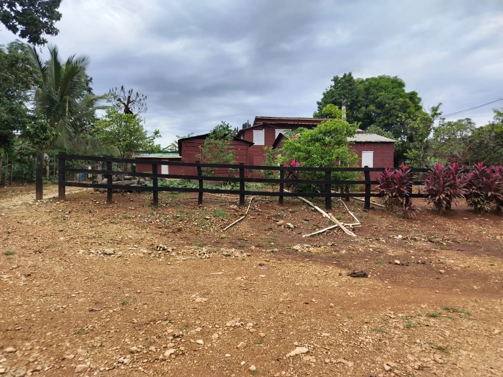Finca de 4500 tareas Ganaderas con más de 700 tareas sembradas de Plát Foto 7267155-10.jpg