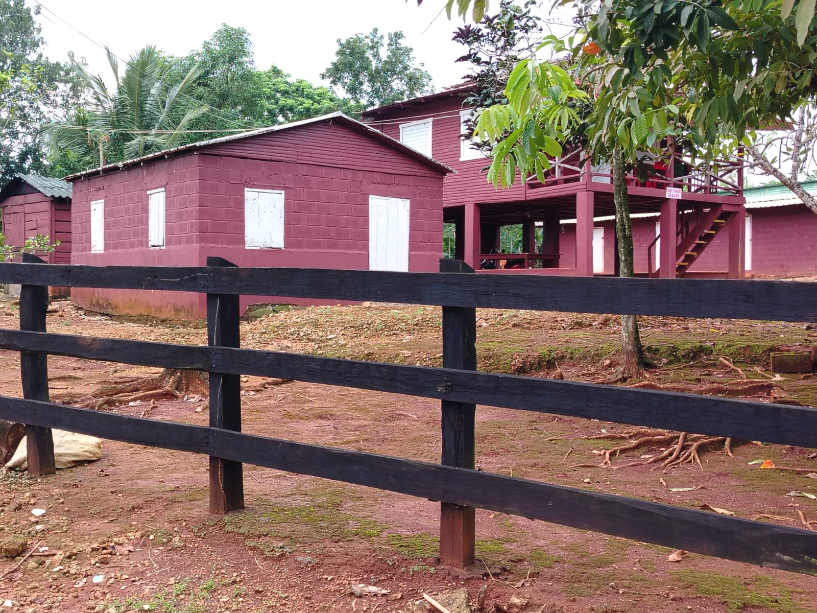 Finca de 4500 tareas Ganaderas con más de 700 tareas sembradas de Plát Foto 7267155-2.jpg