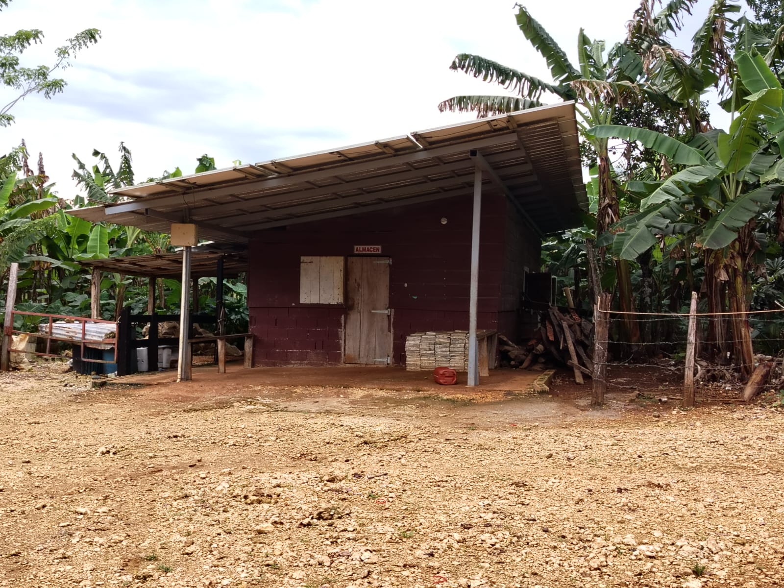 Finca de 4500 tareas Ganaderas con más de 700 tareas sembradas de Plát Foto 7267155-5.jpg